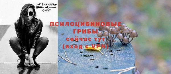 хмурый Абдулино