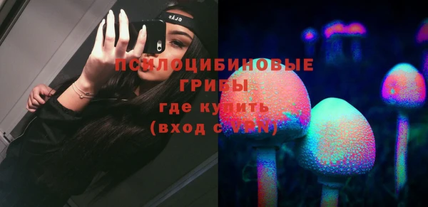 стафф Абаза