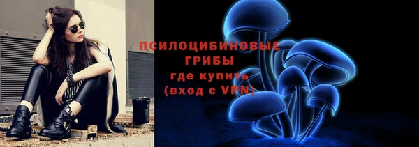 стафф Абаза
