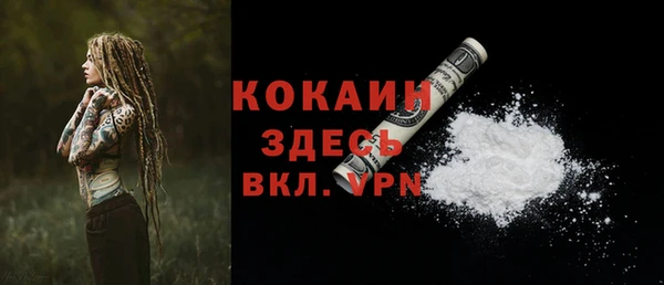 стафф Абаза