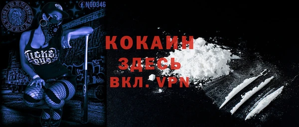 индика Алексин